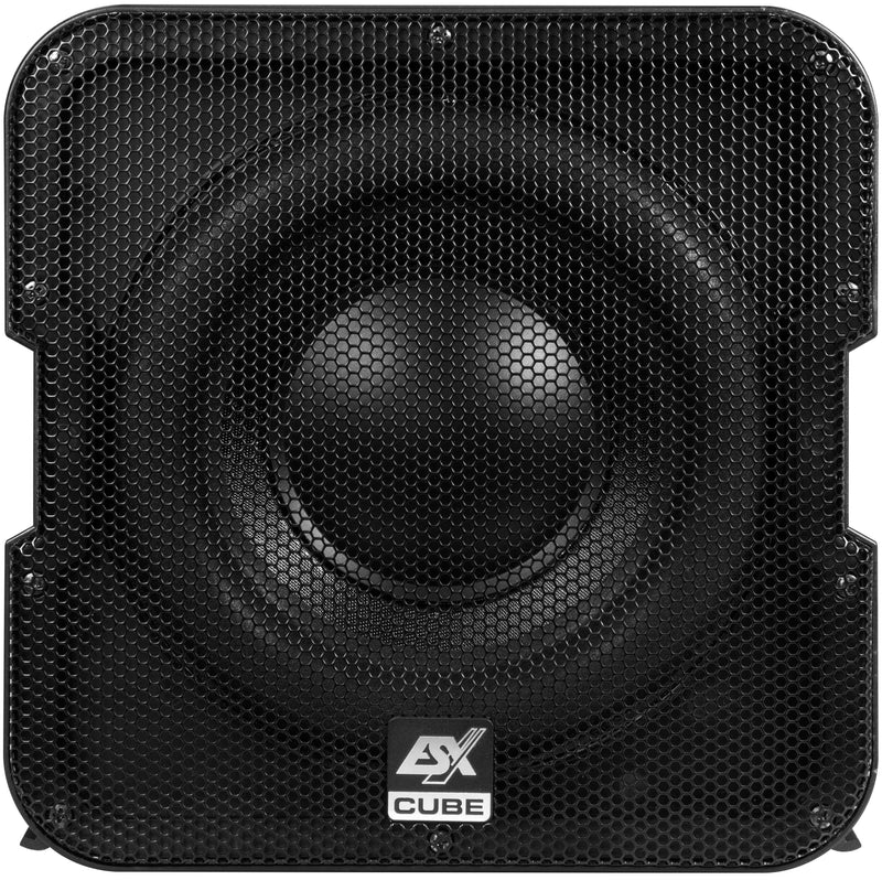 ESX V1600A - 8" Active Subwoofer Enclosure